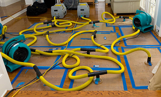 Professional Water Extraction technician working in Dittmer, MO